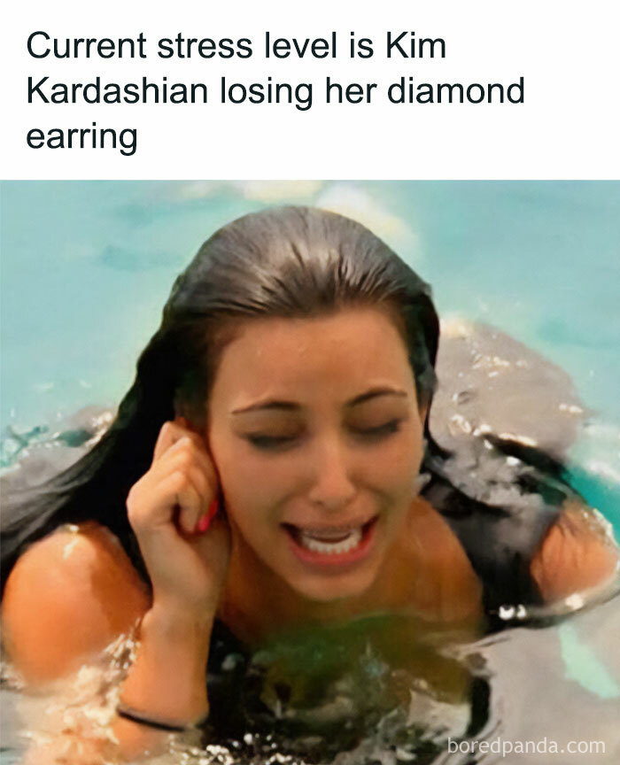 Wait, They Actually Ranked These Hilarious Memes?