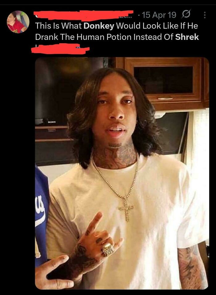 Wait, They Actually Burned People This Hard? Check Out These Epic Insults!