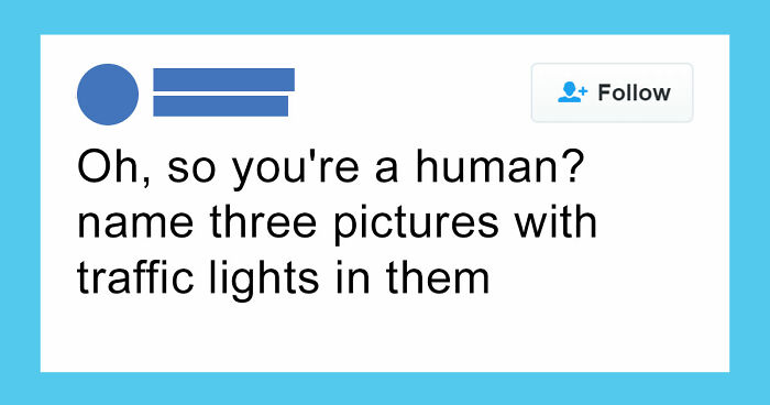 Wait, They Actually Ranked These Hilarious Memes?!