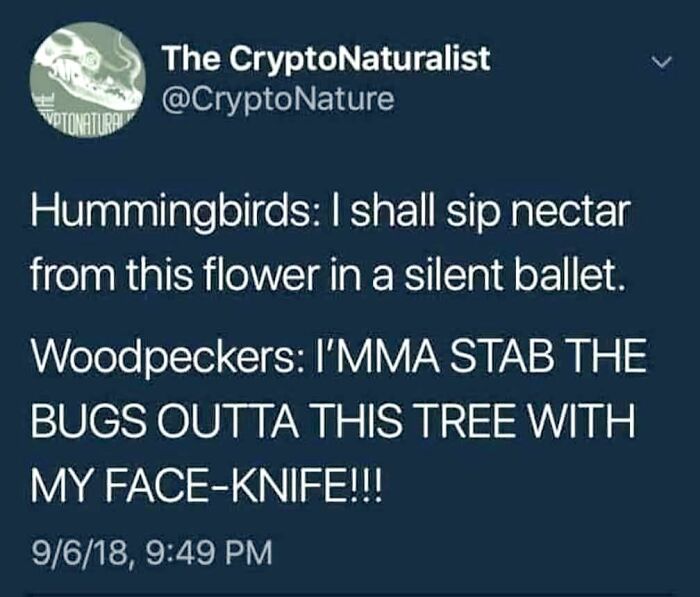 Peak Meme-Juice