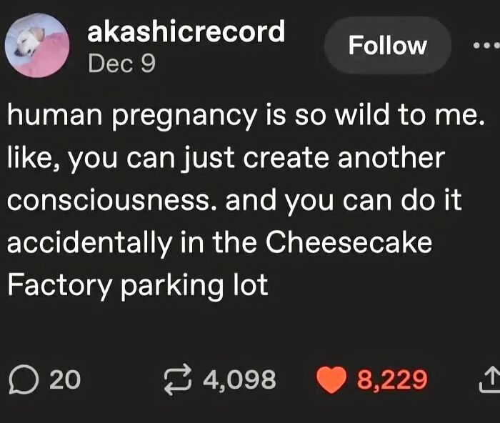 Serious Fun Alert