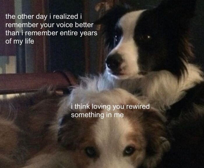 Too Funny to Handle