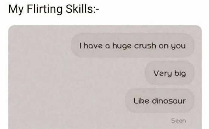 Memes That Speak Fluent Fun