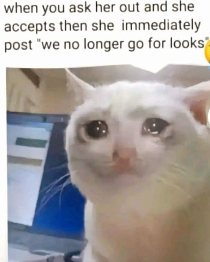 Serious Meme Energy