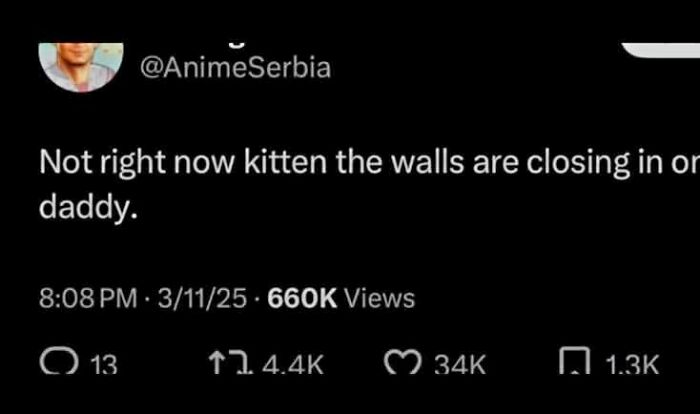 Pure Meme Chaos