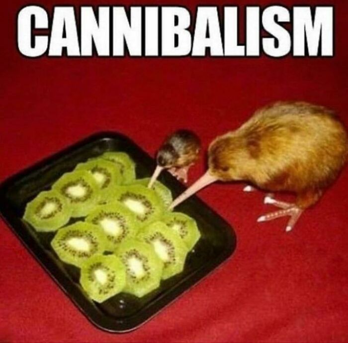 Let’s Dive Into the Weirdest Pics That Made Us Go “Wait, What?!”