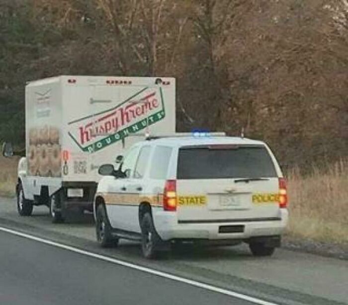 Let’s Dive Into the Weirdest Pics That Made Us Go “Wait, What?!”