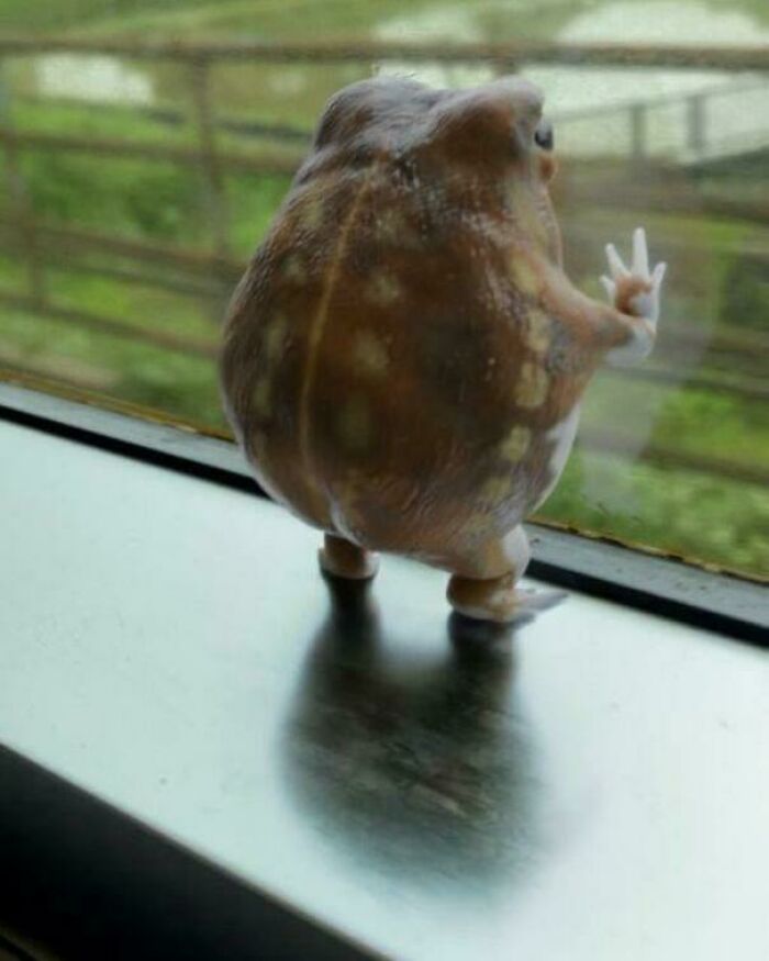 Let’s Dive Into the Weirdest Pics That Made Us Go “Wait, What?!”