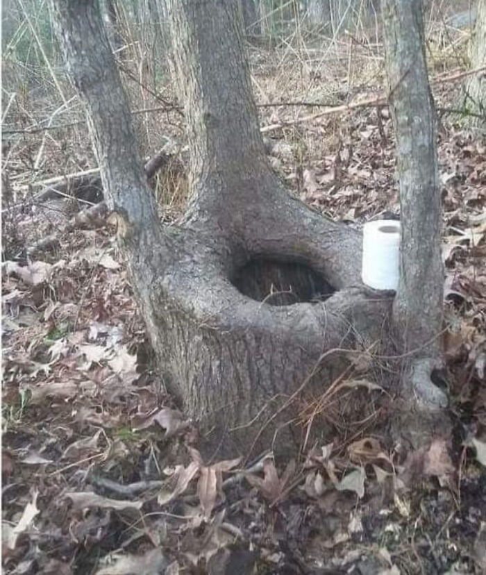 Let’s Dive Into the Weirdest Pics That Made Us Go “Wait, What?!”