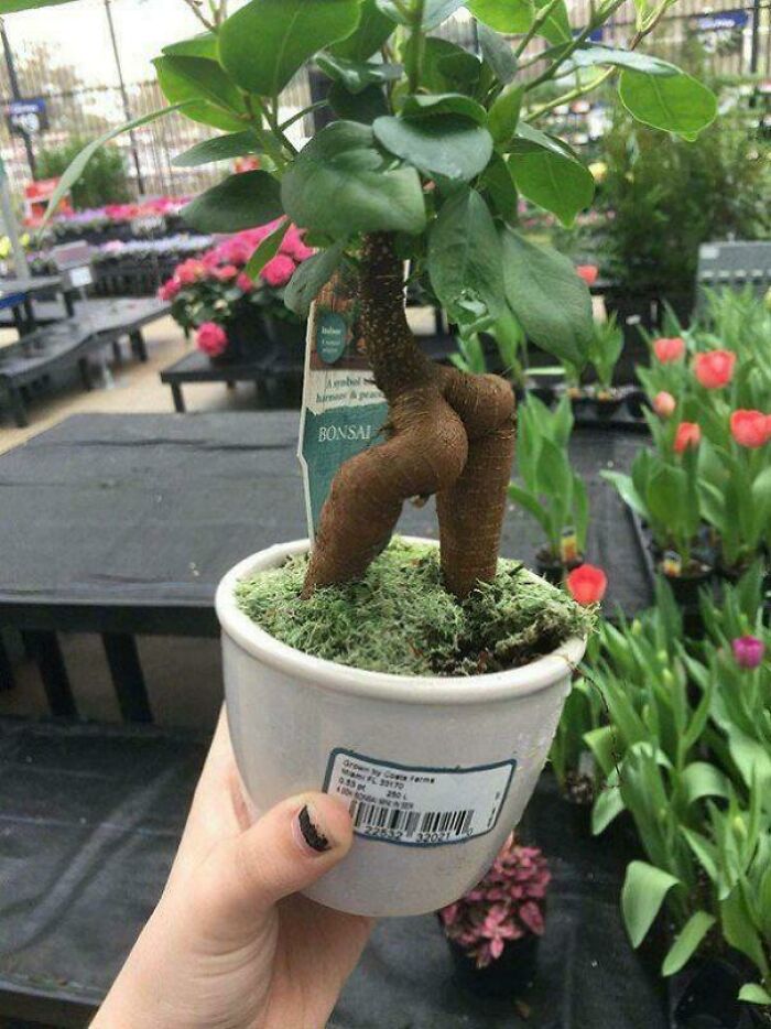 Let’s Dive Into the Weirdest Pics That Made Us Go “Wait, What?!”