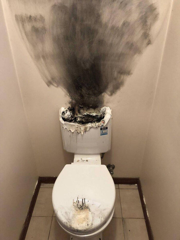 Let’s Dive Into the Weirdest Pics That Made Us Go “Wait, What?!”