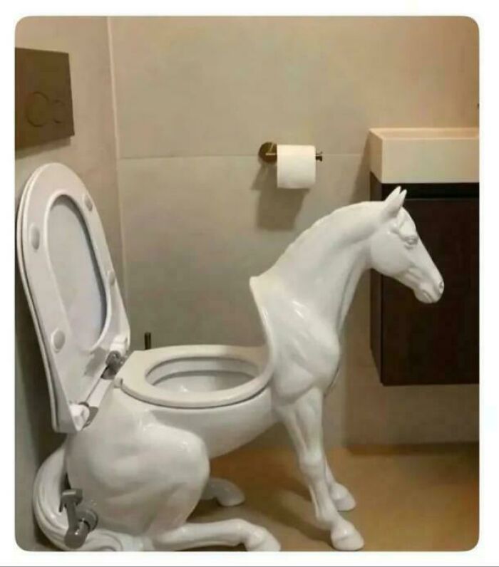 Let’s Dive Into the Weirdest Pics That Made Us Go “Wait, What?!”