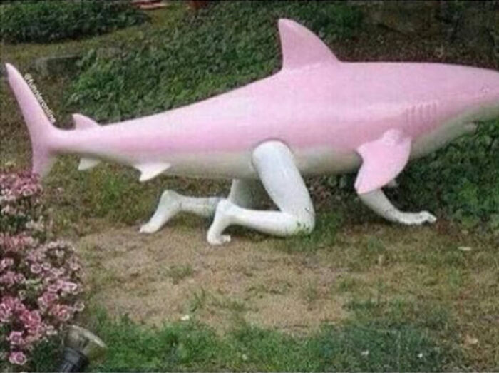 Let’s Dive Into the Weirdest Pics That Made Us Go “Wait, What?!”