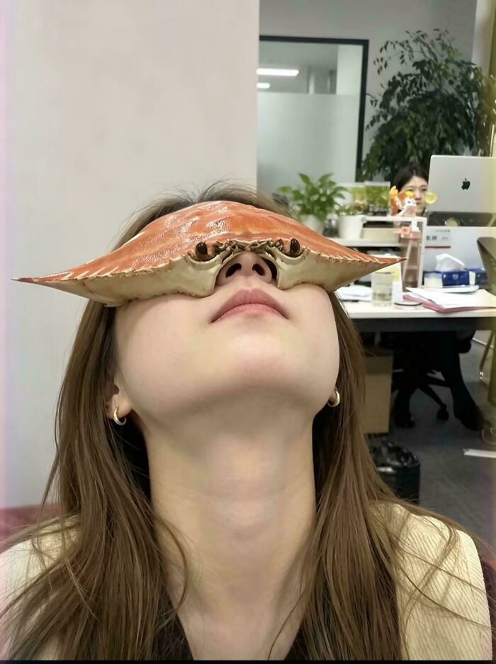 Let’s Dive Into the Weirdest Pics That Made Us Go “Wait, What?!”
