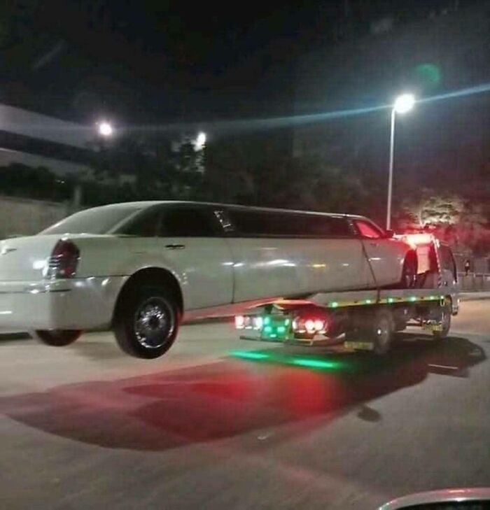 Let’s Dive Into the Weirdest Pics That Made Us Go “Wait, What?!”