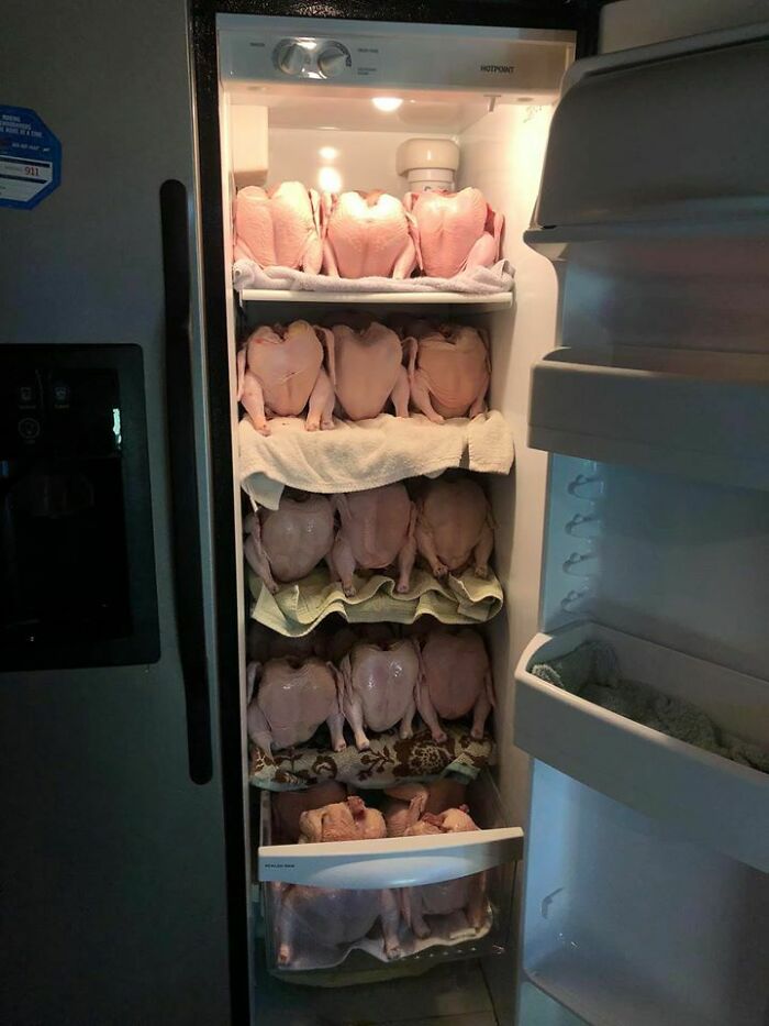 Let’s Dive Into the Weirdest Pics That Made Us Go “Wait, What?!”