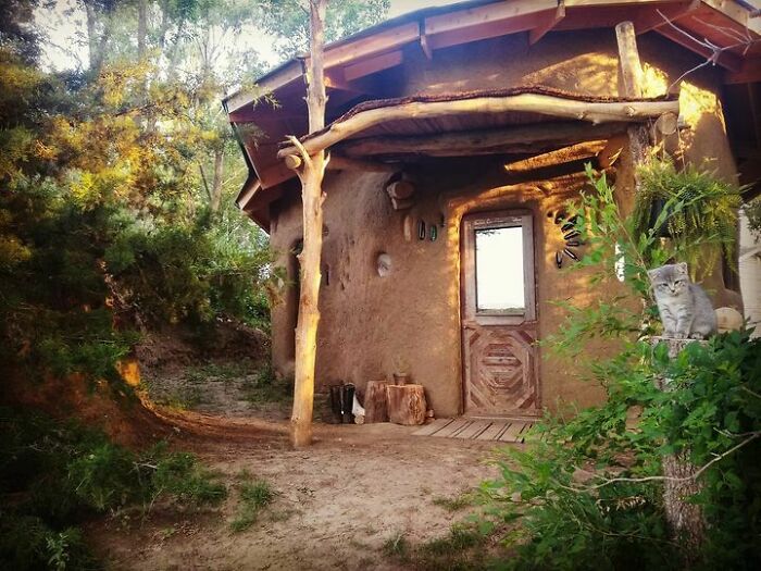 Mud Home Magic: Tiny But Mighty!