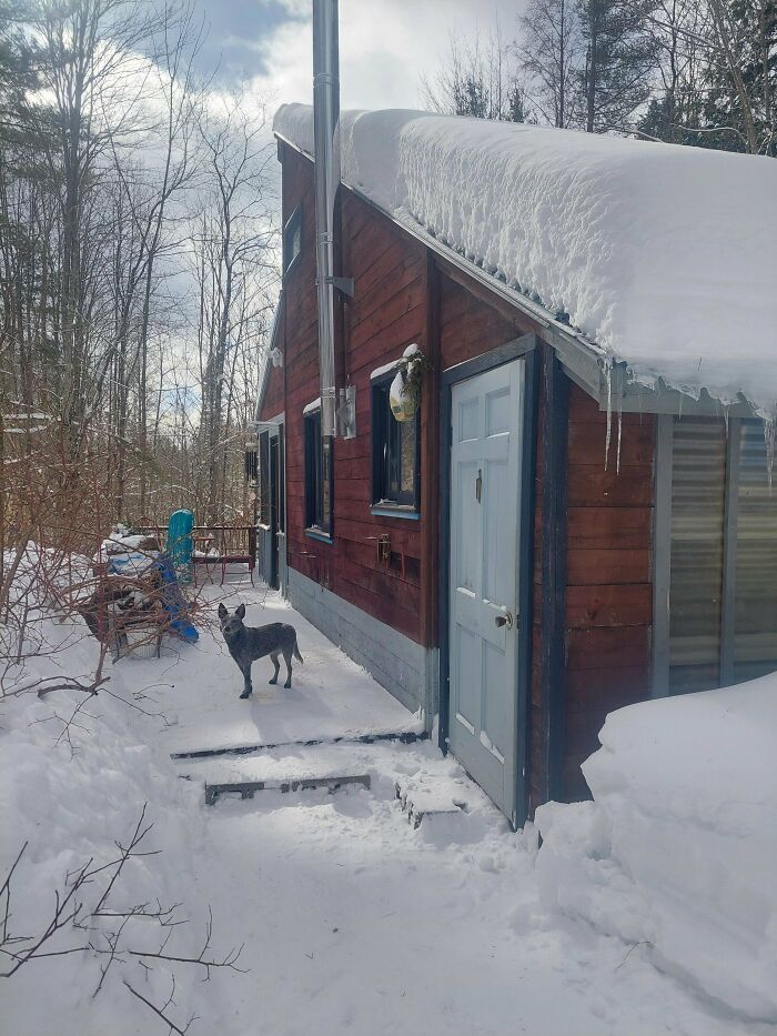 Tiny Cabin in Vermont – Pure Cozy