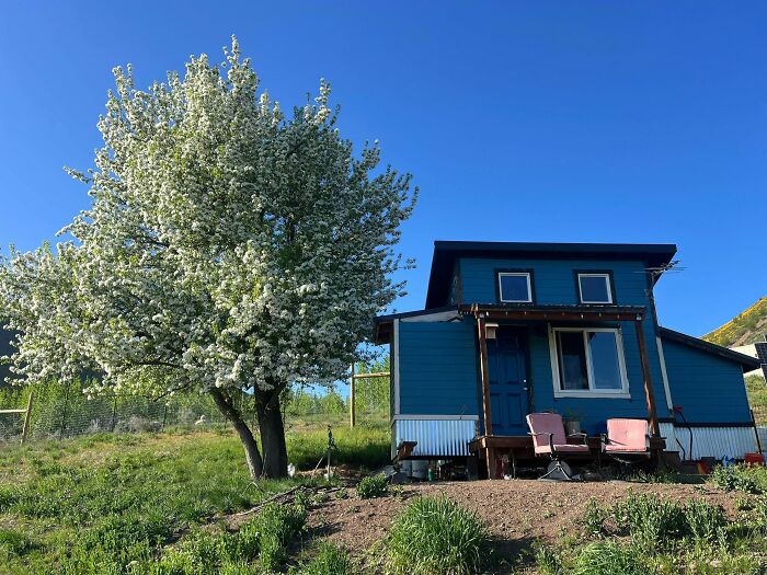 Inside Our 200 Sq Ft Off-Grid Micro Cabin