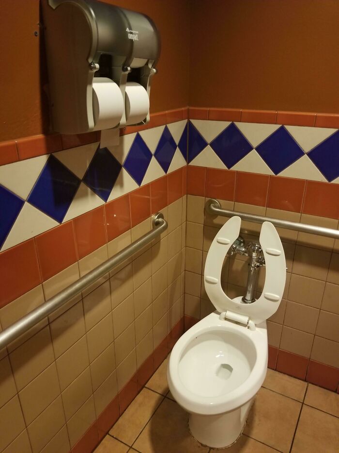 Toilet Bars For Help, But Toilet Paper Holder Is Way Too High? Cool Design!