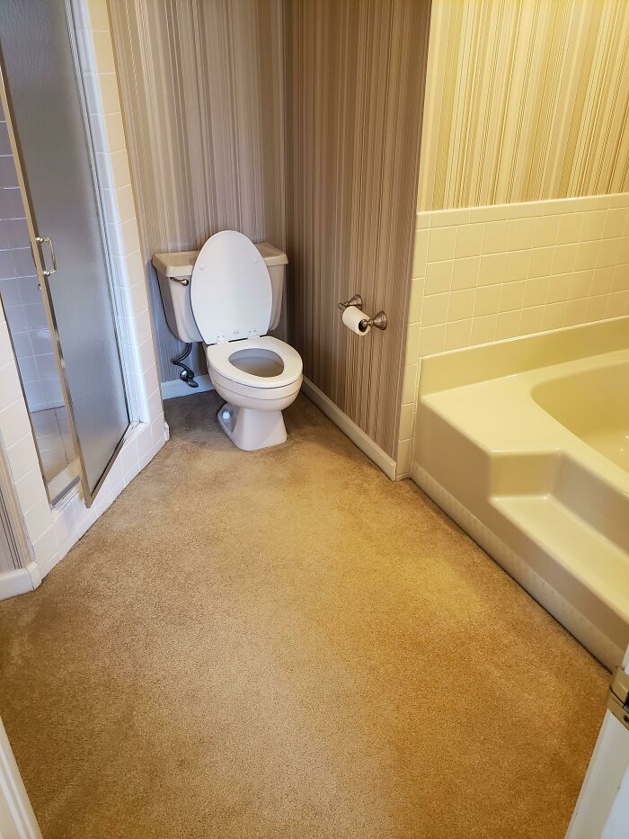 Fully Carpeted Bathroom. We’ve Hit Peak Weirdness