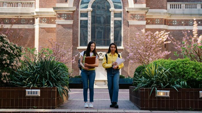 You failed to get into the university, but your friend Joanna did by cheating. She promises to make it up to you, but later you hear your application got disqualified for cheating too. What now?