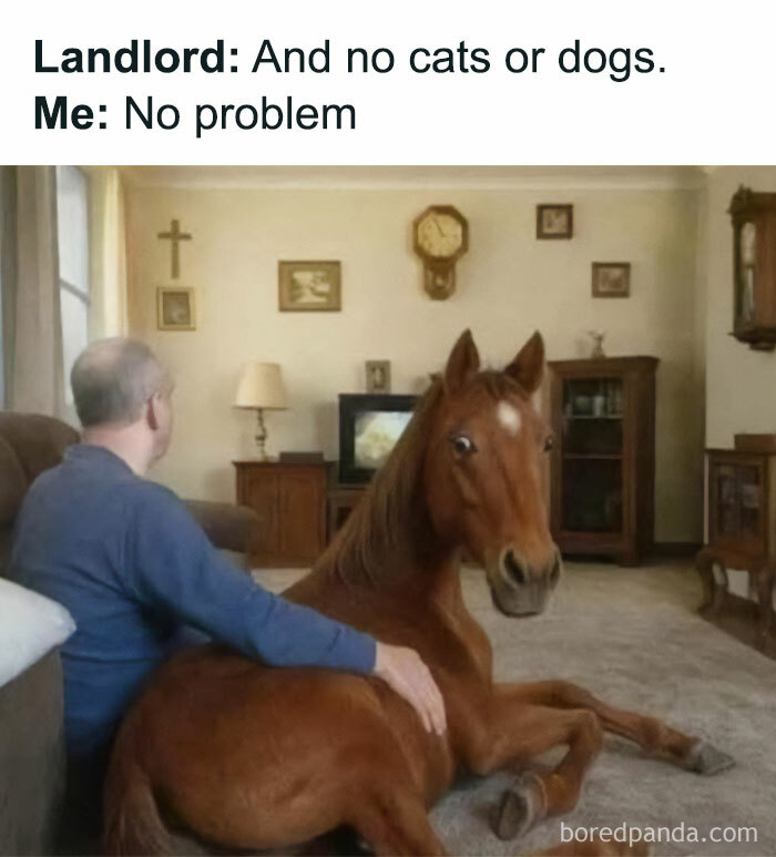 Wait, They Actually Ranked These Hilarious Memes? Let’s Dive In!
