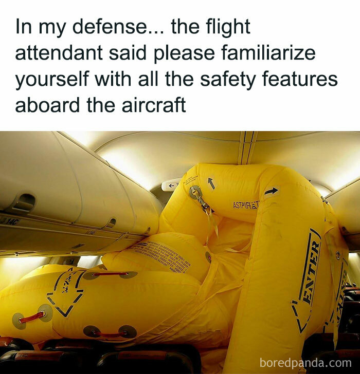 Wait, They Actually Ranked These Hilarious Memes? Let’s Dive In!