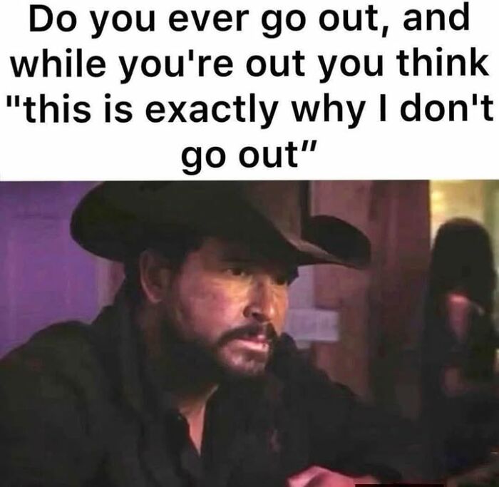 Wait, They Actually Ranked These Hilarious Memes? Let’s Dive In!