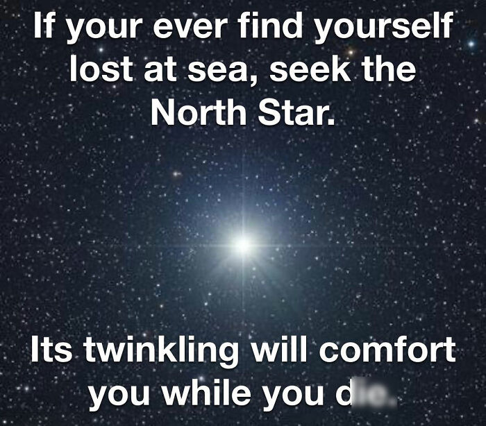 Wait, They Actually Ranked These Hilarious Memes? Let’s Dive In!