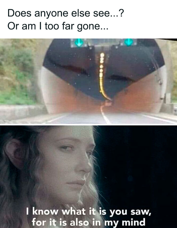 Wait, They Actually Ranked These Hilarious Memes? Let’s Dive In!