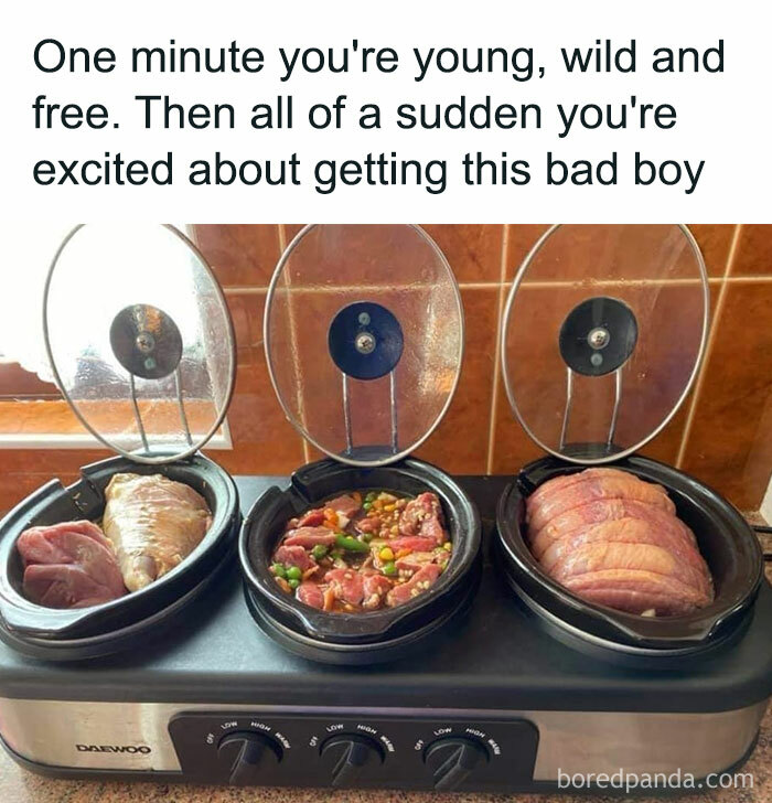 Wait, They Actually Ranked These Hilarious Memes? Let’s Dive In!