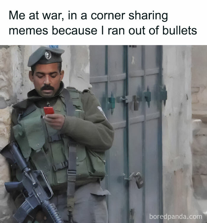 Wait, They Actually Ranked These Hilarious Memes? Let’s Dive In!