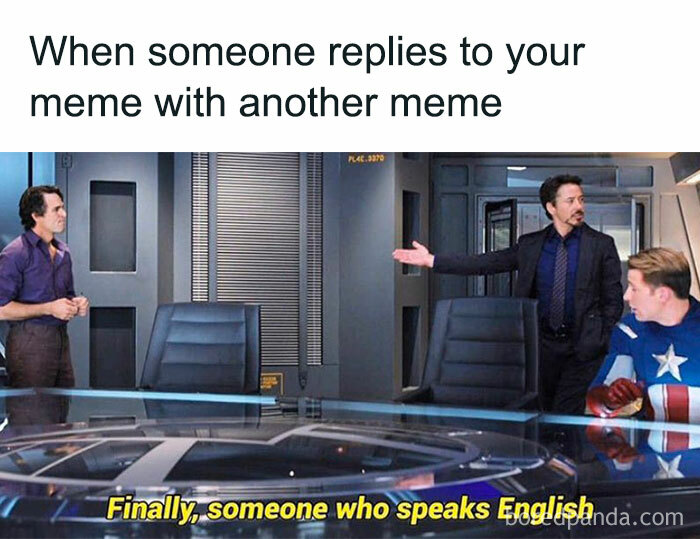 Wait, They Actually Ranked These Hilarious Memes? Let’s Dive In!