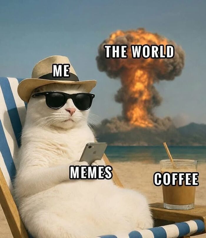 Wait, They Actually Ranked These Hilarious Memes? Let’s Dive In!
