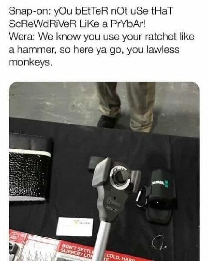 Wait, They Actually Ranked These Hilarious Memes? Let’s Dive In!