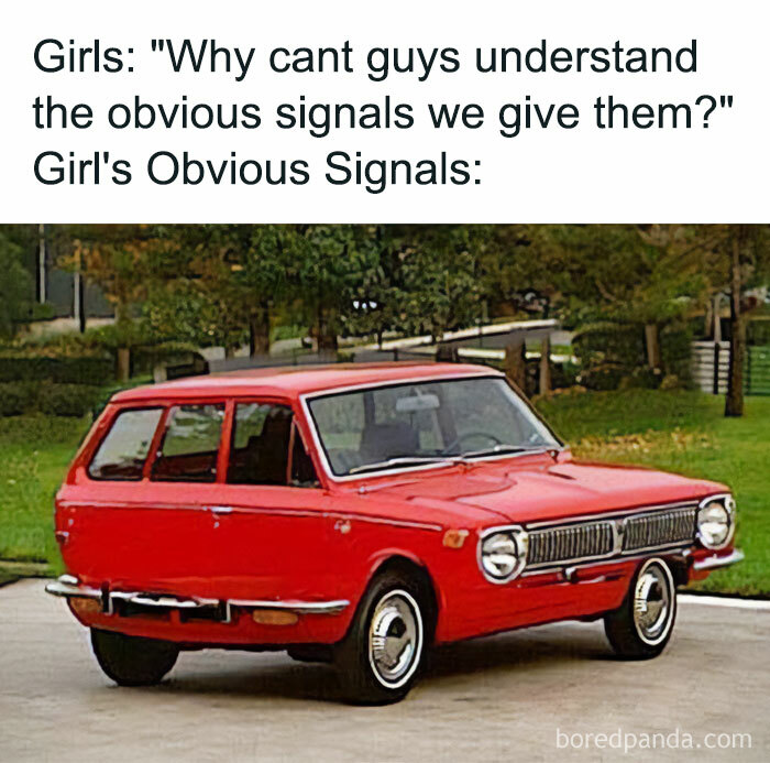 Wait, They Actually Ranked These Hilarious Memes? Let’s Dive In!