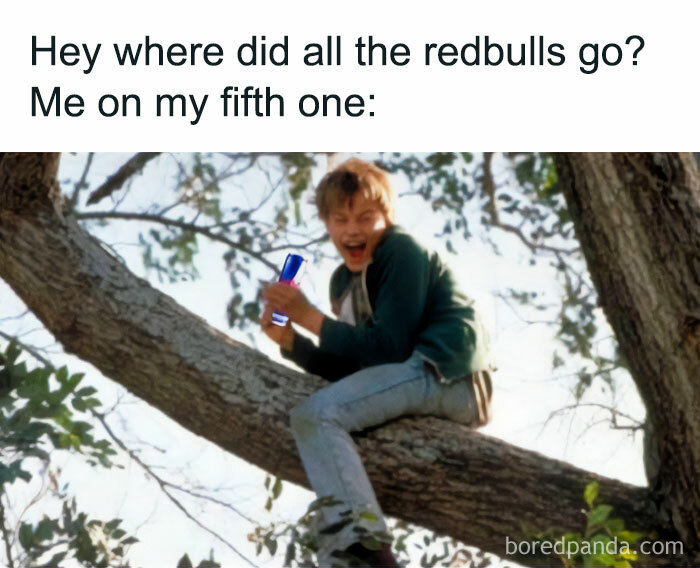 Wait, They Actually Ranked These Hilarious Memes? Let’s Dive In!