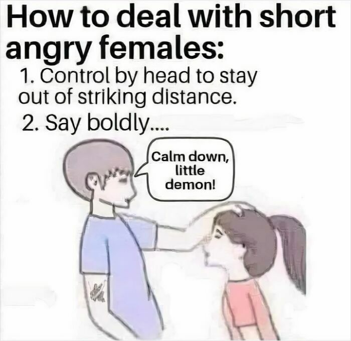 Wait, They Actually Ranked These Hilarious Memes? Let’s Dive In!