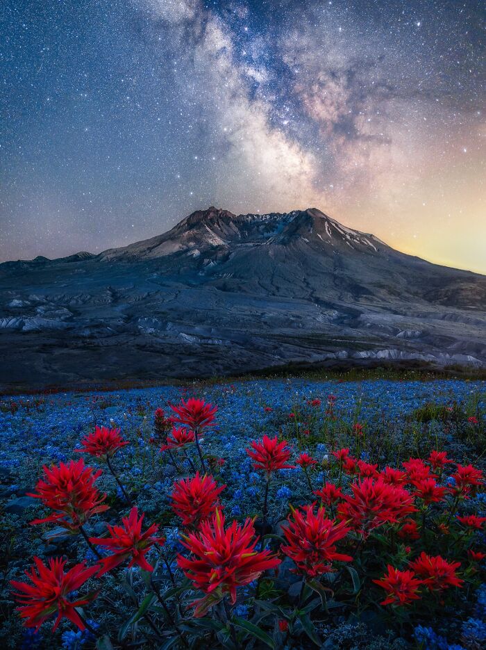Wait Till You See These Night Photos That Totally Change How You Think About Darkness