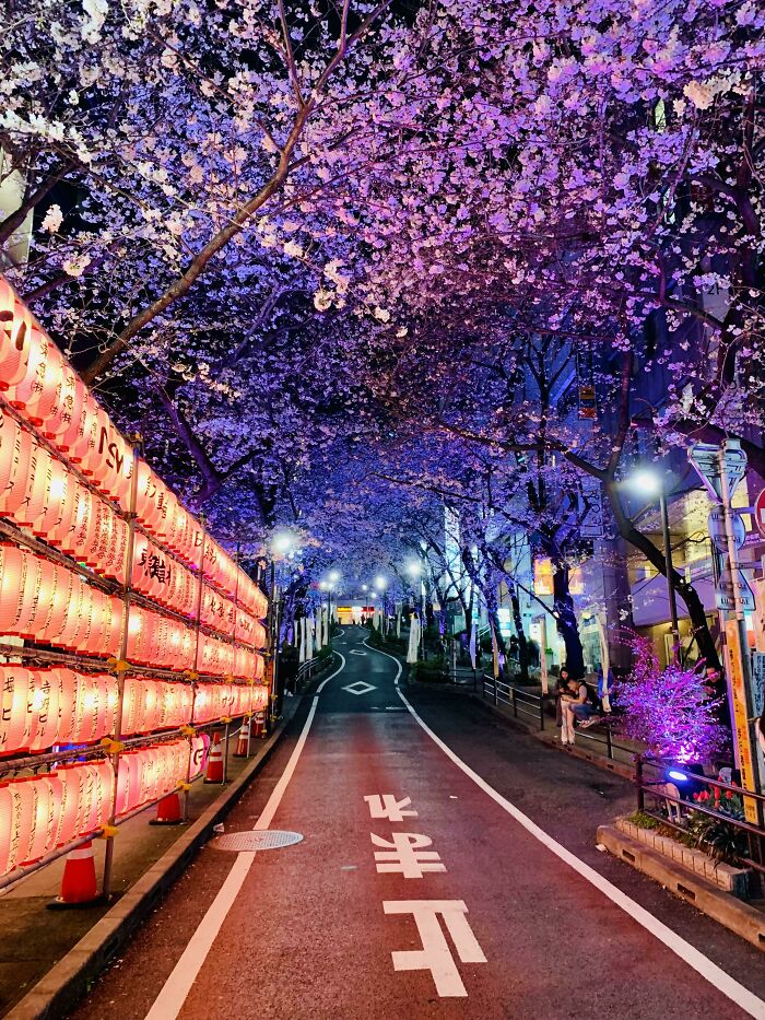 Wait Till You See These Night Photos That Totally Change How You Think About Darkness