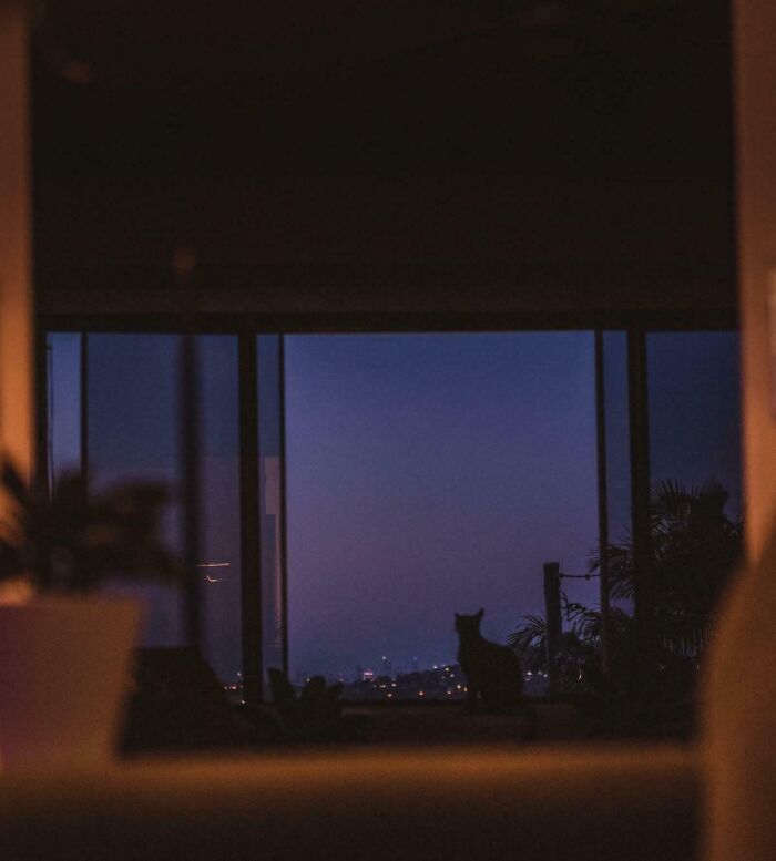 Wait Till You See These Night Photos That Totally Change How You Think About Darkness