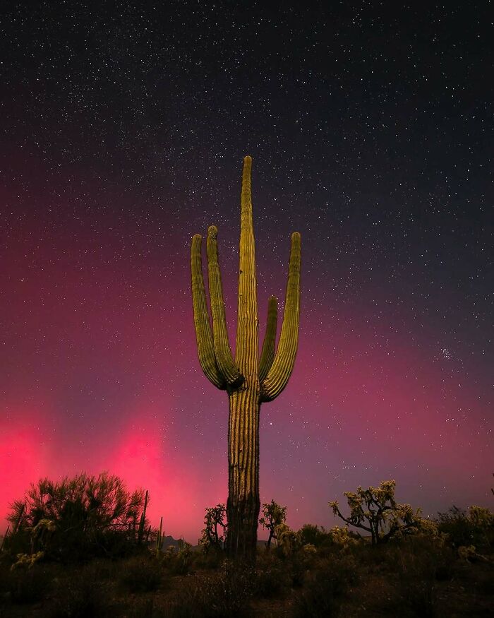 Wait Till You See These Night Photos That Totally Change How You Think About Darkness