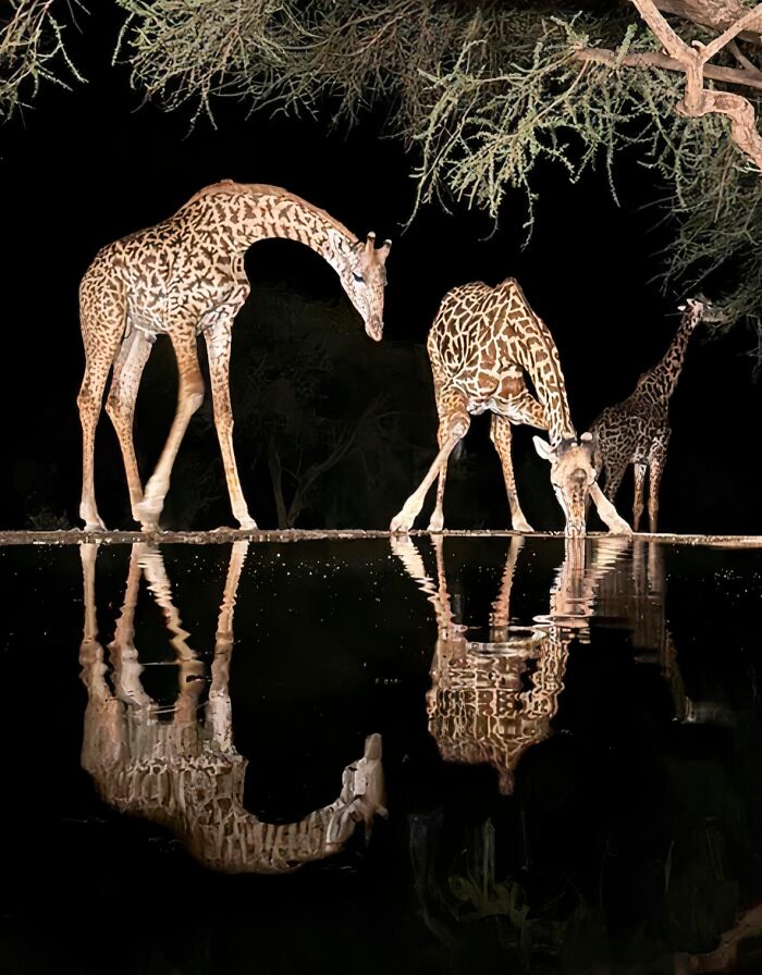 Wait Till You See These Night Photos That Totally Change How You Think About Darkness