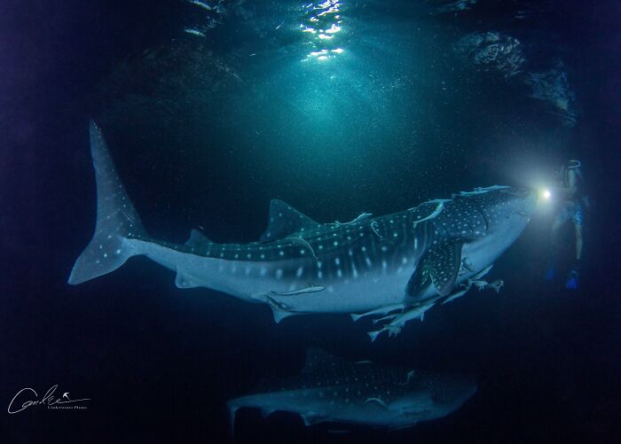 Wait Till You See These Night Photos That Totally Change How You Think About Darkness