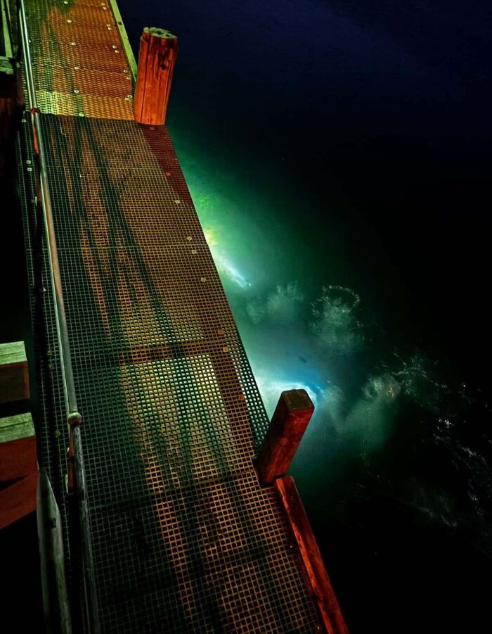 Wait Till You See These Night Photos That Totally Change How You Think About Darkness