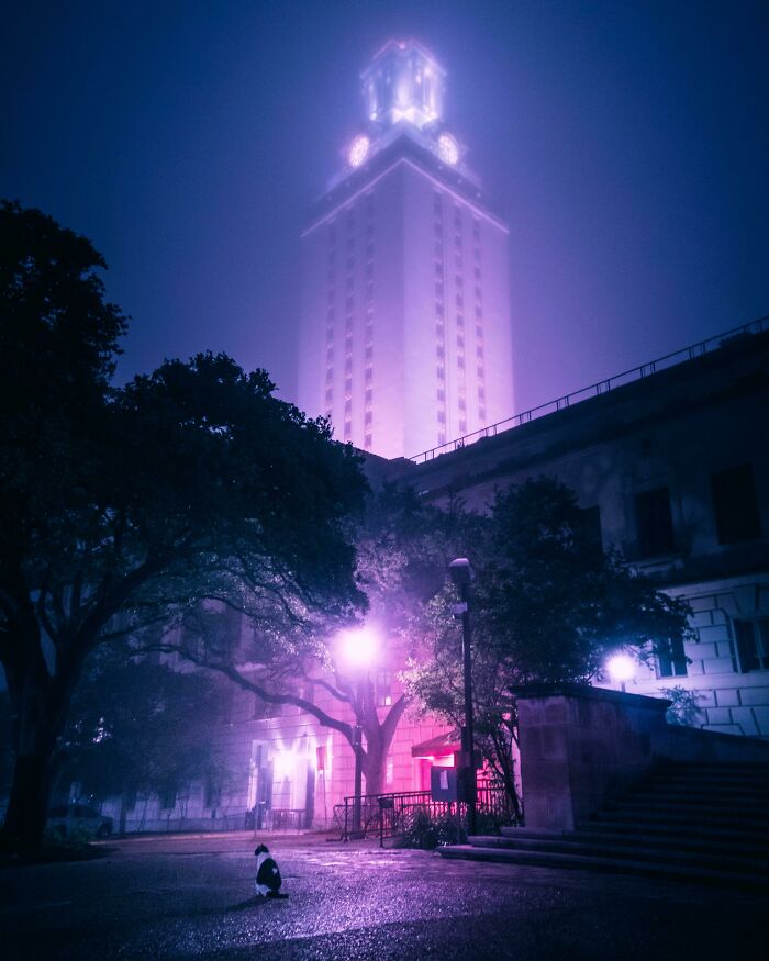Wait Till You See These Night Photos That Totally Change How You Think About Darkness