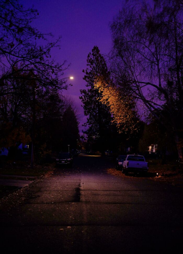 Wait Till You See These Night Photos That Totally Change How You Think About Darkness