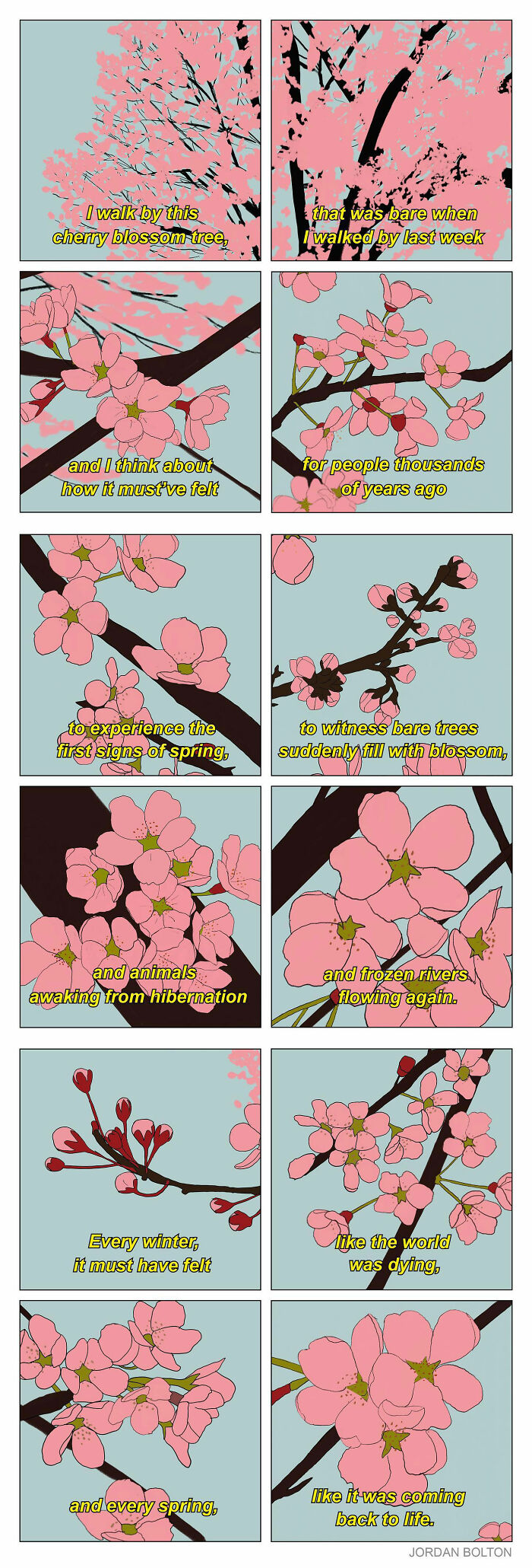 "Cherry Blossom"