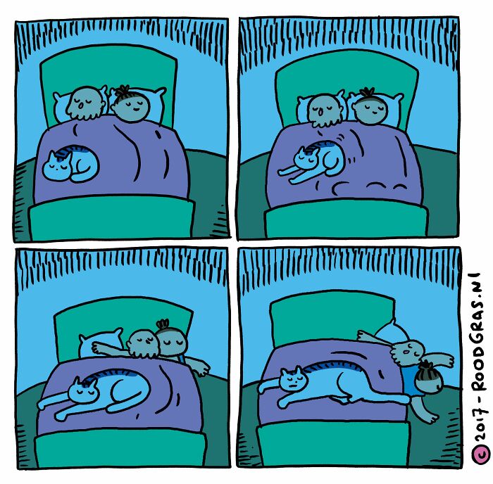 These Cat Comics Are Basically the Cutest Thing Ever (26 Pics You Can’t Miss)